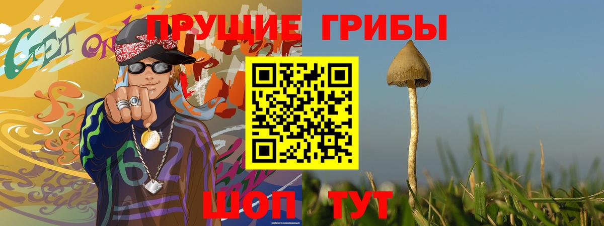 Галлюциногенные грибы Magic Shrooms  Галлюциногенные грибы MAGIC MUSHROOMS  Вход с VPN  Магнитогорск 
